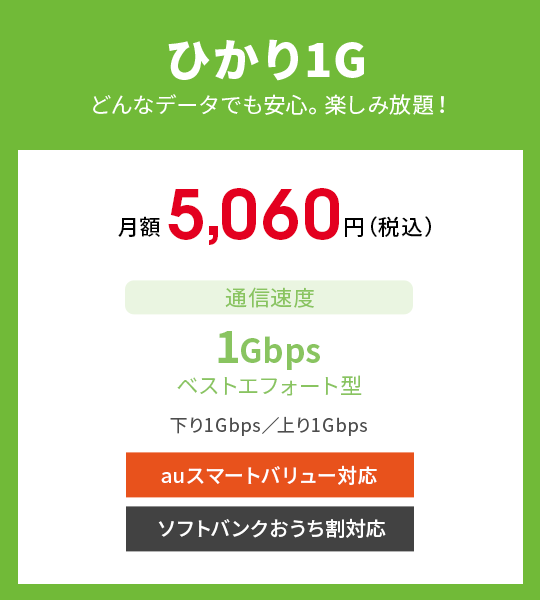 ひかり1G　どんなデータでも安心。楽しみ放題！