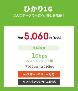 ひかり1G　どんなデータでも安心。楽しみ放題！